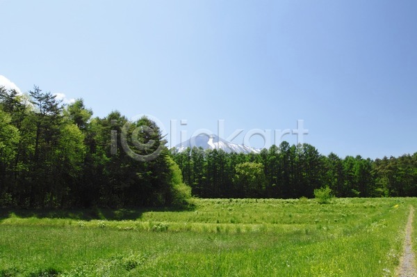 사람없음 JPG 포토 해외이미지 계절 나무 목재 봄 산 숲 일본 자연 초록색 파란색 풍경(경치) 하늘 해외202004