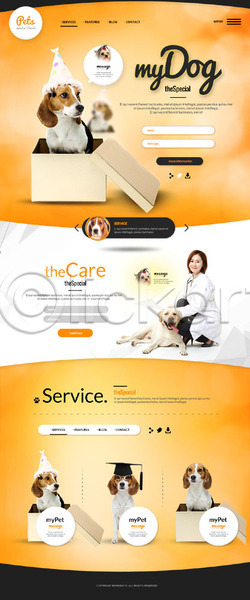 사람없음 성인 여자 한국인 한명 PSD 웹템플릿 템플릿 강아지 꼬깔모 랜딩페이지 반려 반려동물 상자 수의사 학사모 홈페이지 홈페이지시안