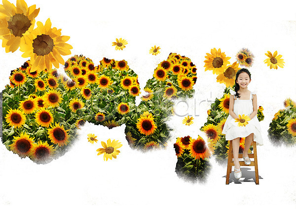 소녀(어린이) 어린이 한국인 한명 PSD 편집이미지 꽃밭 앉기 웃음 원피스 의자 전신 편집 해바라기
