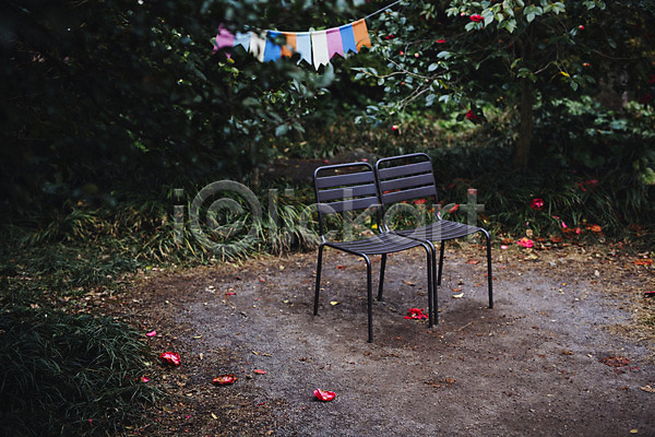 사람없음 JPG 포토 꽃 동백 동백나무 야외 의자 제주도 주간 휴식처