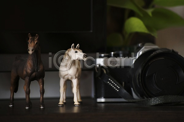 사람없음 JPG 아웃포커스 포토 말(동물) 오브젝트 장식 카메라