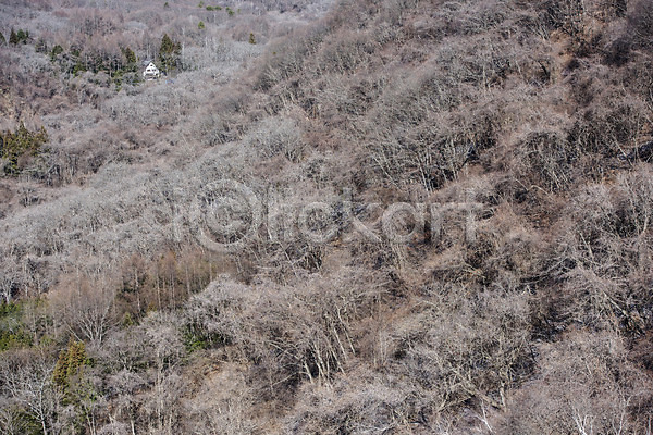 사람없음 JPG 포토 나무 산 숲 야외 일본 자연 주간 해외풍경
