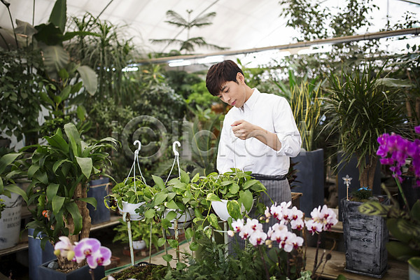 20대 남자 성인 성인남자한명만 한국인 한명 JPG 포토 꽃 꽃집 비정규직 식물 실내 아르바이트 취업준비생 화분