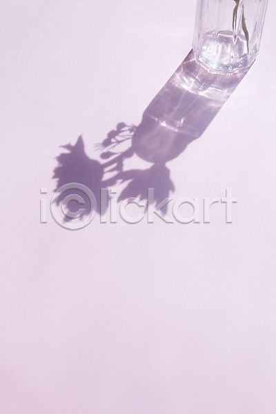사람없음 JPG 포토 공백 그림자 꽃 꽃병 백그라운드 빛 조명 컬러 투명