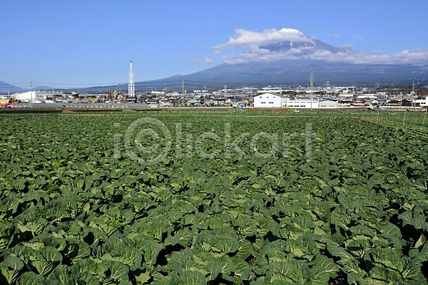 사람없음 JPG 포토 구름(자연) 도시 배추 배추밭 야외 일본 주간 하늘 해외풍경 후지산