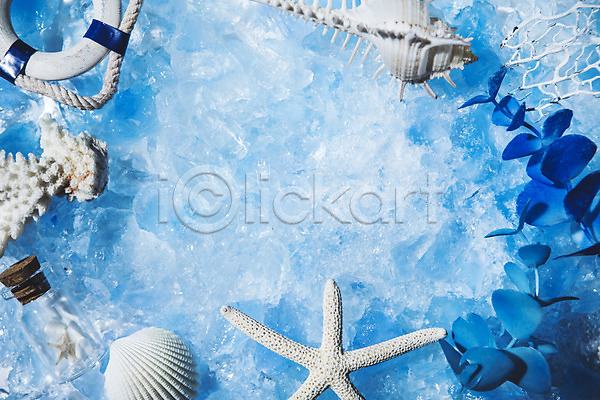 시원함 사람없음 JPG 포토 백그라운드 불가사리 소라 얼음 여름(계절) 유리병 조개 파란색 프레임