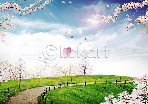 사람없음 PSD 편집이미지 구름(자연) 길 꽃잎 나뭇가지 벚꽃 봄 봄풍경 자연 잔디 편집 하늘