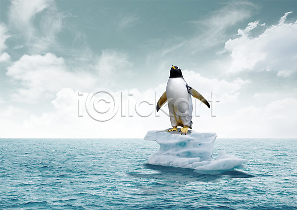 지구온난화 환경오염 사람없음 PSD 편집이미지 구름(자연) 그린캠페인 바다 빙하 얼음 오염 자연보호 펭귄 편집 하늘 한마리 환경