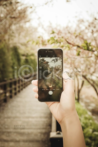 신체부위 PSD 디지털합성 편집이미지 거리풍경 나무 들기 디지털아트 모바일 사진촬영 산책로 손 스마트폰 야외 주간