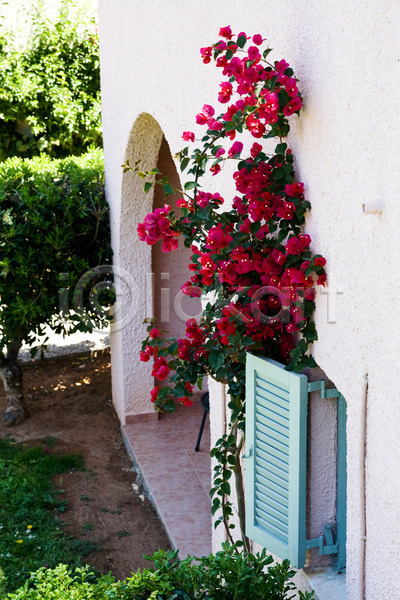 사람없음 JPG 포토 해외이미지 건축양식 꽃 분홍색 빨간색 셔터 시골집 의자 주택 창문 초록색 해외202004 휴가
