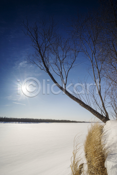 추위 평화 사람없음 JPG 포토 해외이미지 겨울 광선 나무 나뭇가지 날씨 냉동 북쪽 빛 서리 숲 시베리아 얼음 자연 태양 파란색 풍경(경치) 하늘 해외202004 황무지