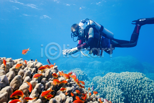남자 성인 성인남자한명만 한명 JPG 옆모습 포토 해외이미지 들기 사진촬영 산호 산호초 수중 수중사진 어류 잠수부 전신 카메라 해외202004