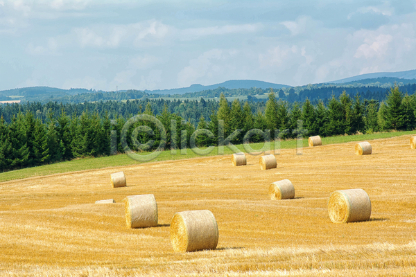 건조 사람없음 JPG 포토 해외이미지 구름(자연) 농업 농작물 밀 밀짚 밭 밭일 볏짚 수확 스페인 시골 옥수수 철사 풍경(경치) 하이킹 해외202004 휴가
