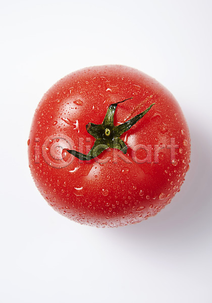신선 사람없음 JPG 포토 과채 물방울 스튜디오촬영 실내 채소 토마토 한개