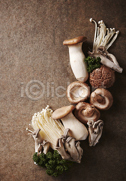 신선 사람없음 JPG 포토 느타리버섯 다양 버섯 새송이버섯 스튜디오촬영 실내 양송이 채소 파슬리 팽이버섯 표고버섯