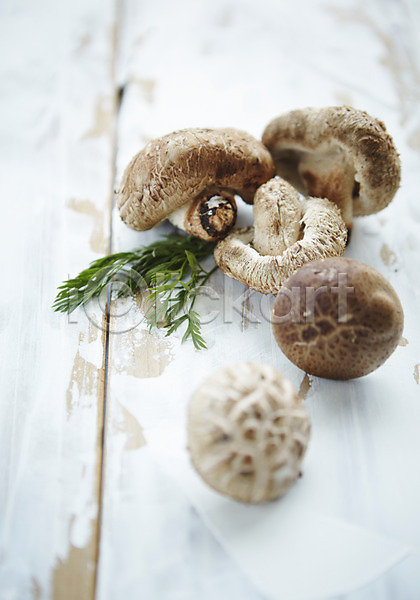 신선 사람없음 JPG 아웃포커스 포토 버섯 스튜디오촬영 실내 여러개 채소 표고버섯