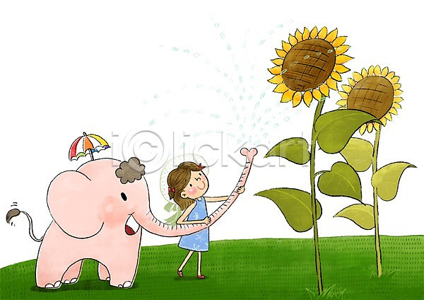 즐거움 어린이 여자 한명 PSD 일러스트 물주기 여름(계절) 코끼리 파라솔 해바라기