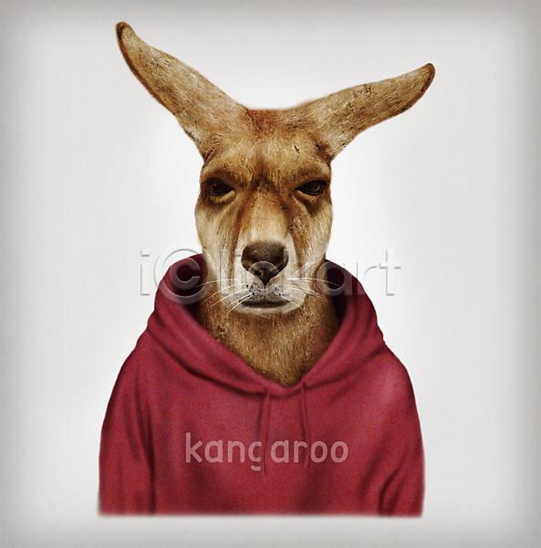 사람없음 PSD 일러스트 동물 옷 의인화 초상화 캥거루 패션 후드티셔츠