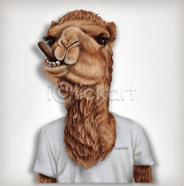 사람없음 PSD 일러스트 낙타 동물 반팔티셔츠 옷 의인화 초상화 패션
