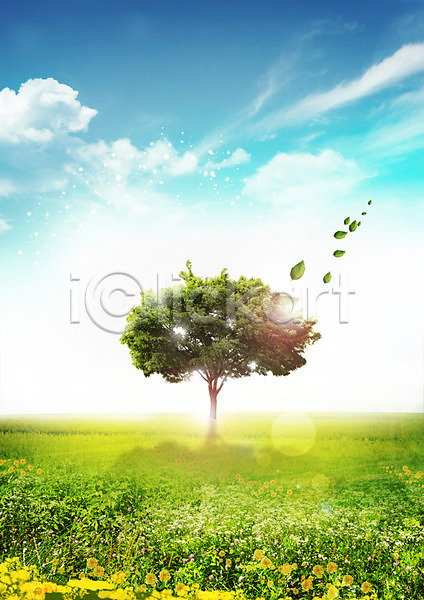 사람없음 PSD 편집이미지 구름(자연) 그린캠페인 꽃 나무 나뭇잎 자연 자연보호 잔디 편집 하늘 환경 흩날리기