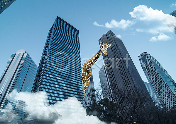 사람없음 PSD 편집이미지 고층빌딩 구름(자연) 기린 나무 도시 야생동물 편집 하늘