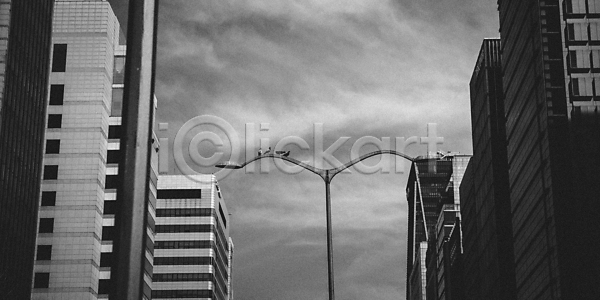 사람없음 JPG 포토 흑백 가로등 도시 도시풍경 비둘기 빌딩 빌딩숲 야외 주간