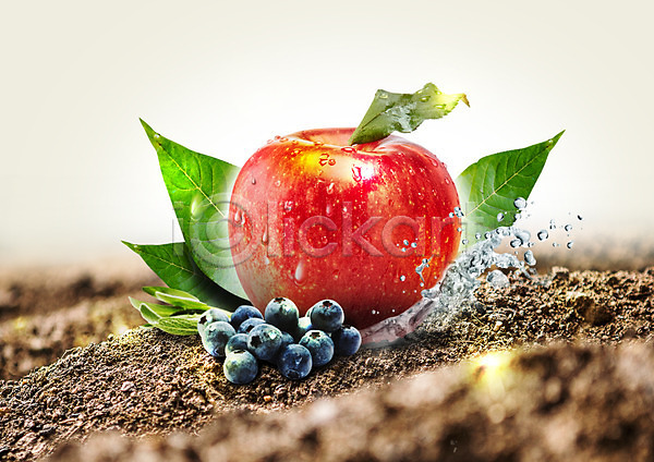 신선 사람없음 PSD 편집이미지 나뭇잎 물방울 블루베리 사과(과일) 음식 편집 흙