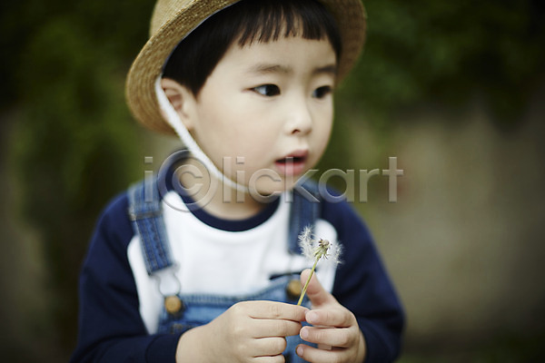 천진난만 소년 소년만 어린이 한국인 한명 JPG 앞모습 포토 들기 민들레홀씨 밀짚모자 불기 상반신 서기 숲 야외 야외활동 어린이라이프 주간