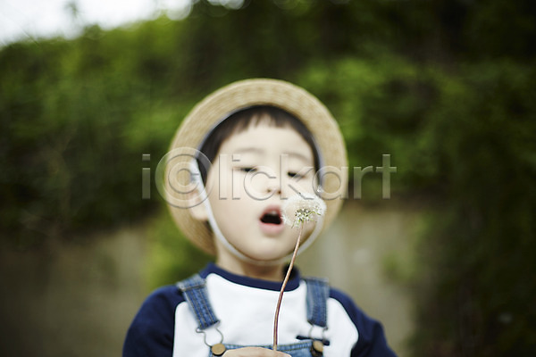 천진난만 소년 소년만 어린이 한국인 한명 JPG 앞모습 포토 들기 민들레홀씨 밀짚모자 불기 상반신 서기 숲 야외 야외활동 어린이라이프 주간