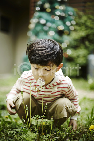 천진난만 소년 소년만 어린이 한국인 한명 JPG 앞모습 포토 민들레홀씨 숲 앉기 야외 야외활동 어린이라이프 전신 주간