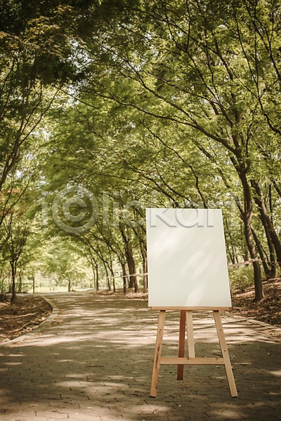 사람없음 PSD 디지털합성 편집이미지 공원 나무 디지털아트 백그라운드 산책로 야외 이젤 주간 캔버스 프레임