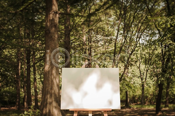 사람없음 PSD 디지털합성 편집이미지 공원 나무 디지털아트 백그라운드 야외 이젤 주간 캔버스 프레임