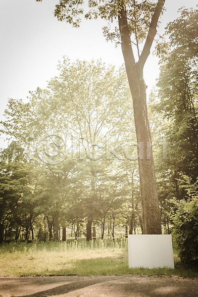 사람없음 PSD 디지털합성 편집이미지 공원 나무 디지털아트 백그라운드 야외 이젤 주간 캔버스 프레임