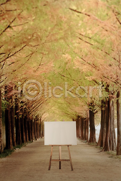 사람없음 PSD 디지털합성 편집이미지 공원 나무 디지털아트 백그라운드 산책로 야외 이젤 주간 캔버스 프레임