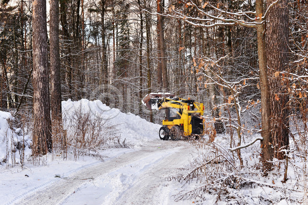 사람없음 JPG 포토 해외이미지 겨울 나무 눈치우기 도로 숲 야외 제설 제설기 청소 트랙터 해외202004
