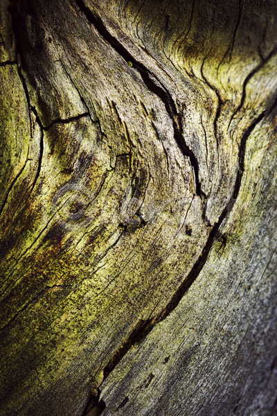 사람없음 JPG 포토 해외이미지 갈색 거친 그런지 나무 날씨 내추럴 디자인 목재 묘사 백그라운드 벽 벽지 복고 수목 수확 어둠 옛날 자연 질감 추상 패턴 표면 해외202004