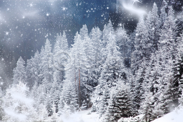 사람없음 JPG 포토 해외이미지 겨울 겨울풍경 나무 눈보라 루마니아 산 야외 자연 주간 하늘 해외202004