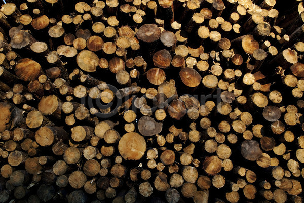 사람없음 JPG 포토 해외이미지 나무 내추럴 목재 백그라운드 벌목 불 비즈니스 소나무 수확 숲 쌓기 야외 원형 자르기 자연 장작 전기톱 질감 통나무 패턴 해외202004