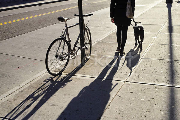 여자 한명 JPG 뒷모습 포토 개 거리풍경 그림자 뉴욕 도로 도시 반려 야외 자전거 주간 풍경(경치) 하반신