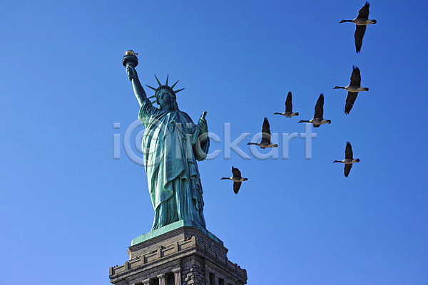 사람없음 JPG 포토 뉴욕 도시 야외 자유의여신상 조류 주간 풍경(경치) 하늘