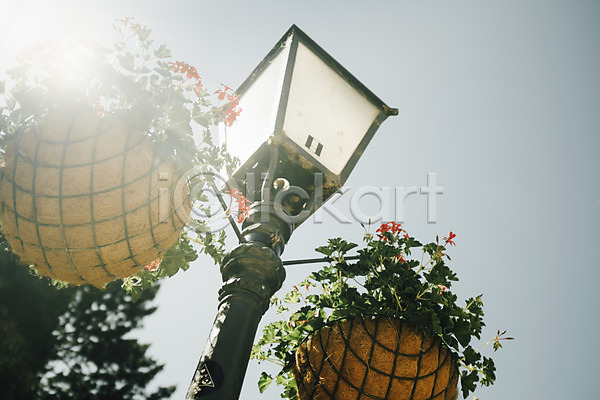 사람없음 JPG 로우앵글 포토 가로등 거리 꽃 동유럽 야외 유럽 자그레브 주간 크로아티아 풍경(경치) 하늘 해외풍경 햇빛 화분