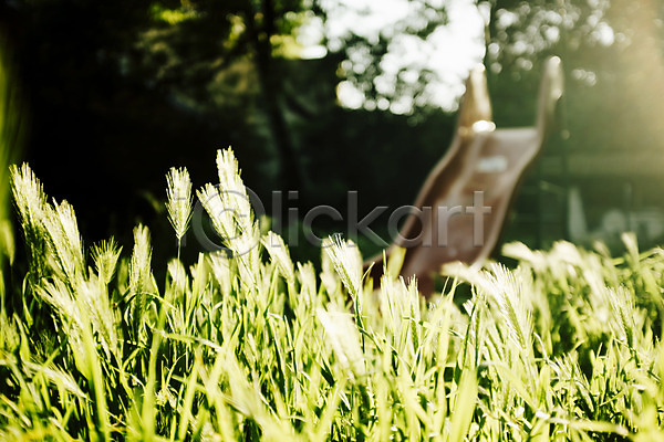 사람없음 JPG 아웃포커스 포토 공원 동유럽 미끄럼틀 야외 유럽 자그레브 주간 초록색 크로아티아 풀잎 풍경(경치) 해외풍경 햇빛