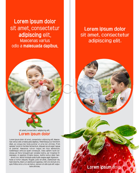 체험학습 남자 세명 어린이 여자 한국인 PSD 템플릿 2단접지 내지 딸기 리플렛 먹기 북디자인 북커버 상반신 웃음 출판디자인 팜플렛 표지디자인