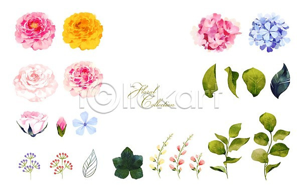 사람없음 PSD 아이콘 일러스트 꽃 꽃백그라운드 봄꽃 세트 수국 수채화(물감) 잎 장미