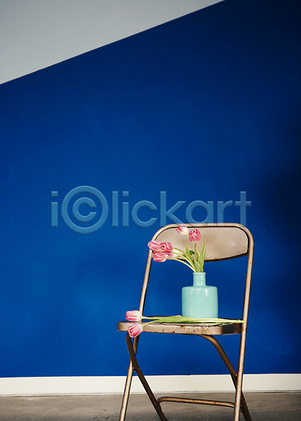 사람없음 JPG 포토 꽃 꽃병 스타일링 스튜디오 실내 오브젝트 의자 인테리어 장식 튤립