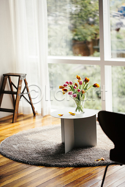 사람없음 JPG 포토 꽃 꽃병 사다리 스타일링 스튜디오 실내 오브젝트 의자 인테리어 장식 창문 카펫 탁자 튤립