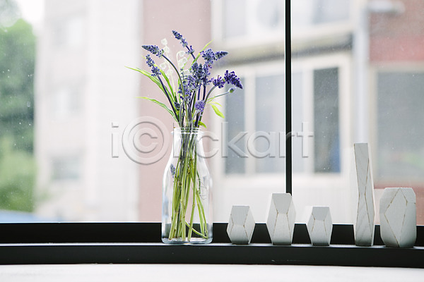 사람없음 JPG 포토 꽃 꽃병 라벤더 스타일링 스튜디오 실내 오브젝트 인테리어 장식 창문 창틀