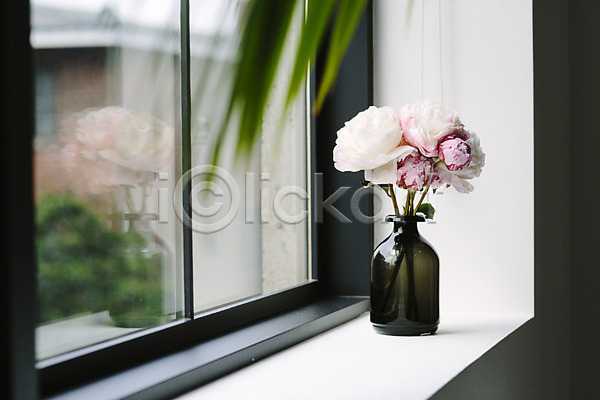 사람없음 JPG 포토 꽃 꽃병 스타일링 스튜디오 실내 오브젝트 인테리어 작약 장식 창가