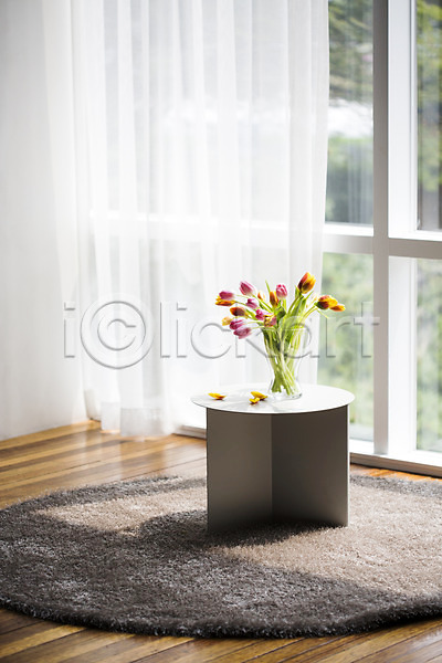 사람없음 JPG 포토 꽃 꽃병 스타일링 스튜디오 실내 오브젝트 인테리어 장식 창문 카펫 커튼 탁자 튤립