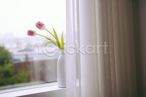 사람없음 JPG 포토 꽃 꽃병 스타일링 스튜디오 실내 오브젝트 인테리어 장식 창문 커튼 튤립